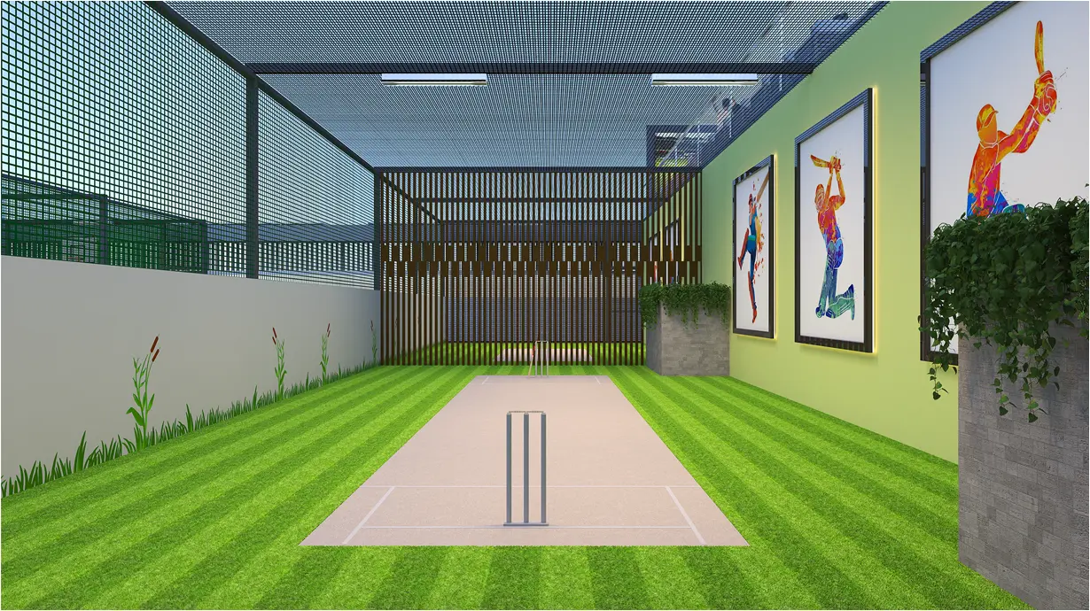 cricket-turf-view